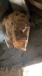 Photo n°11 de servi+ Lis Jerome à Clamecy (Service de destruction)