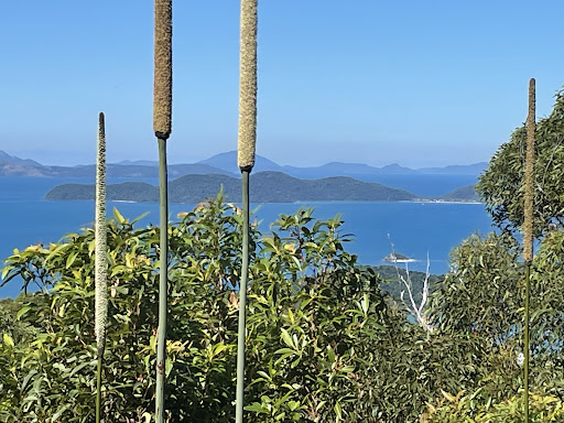 Mt Rooper Lookout - Thumbnail