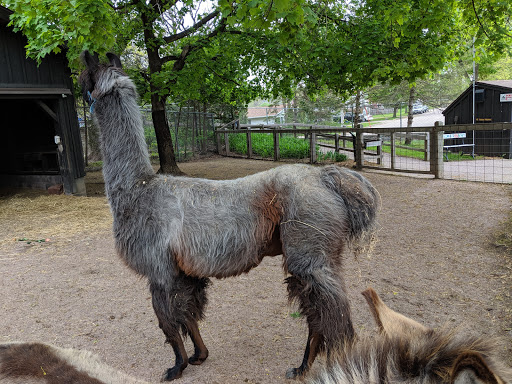 Ochsner Park Zoo - Thumbnail