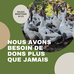 Photo n°20 de La ferme de Maillofargueix ( sauve moutons & Co) à Bersac-sur-Rivalier (Conservatoire)