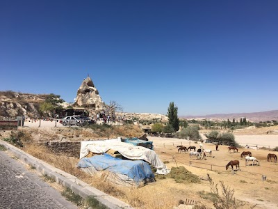 Photos of Dalton Kardeşler At &Ccedil;iftliği