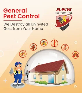 ASN Pest Control photo 5