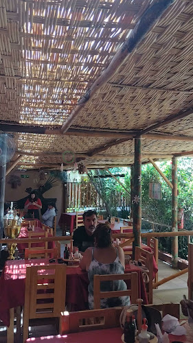 Opiniones de Restaurant Solar " Entre Cordilleras" en Vicuña - Restaurante