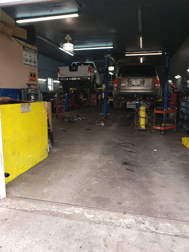 Fido's Auto Shop