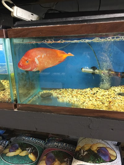 Eden Pets Supplies & Aquarium