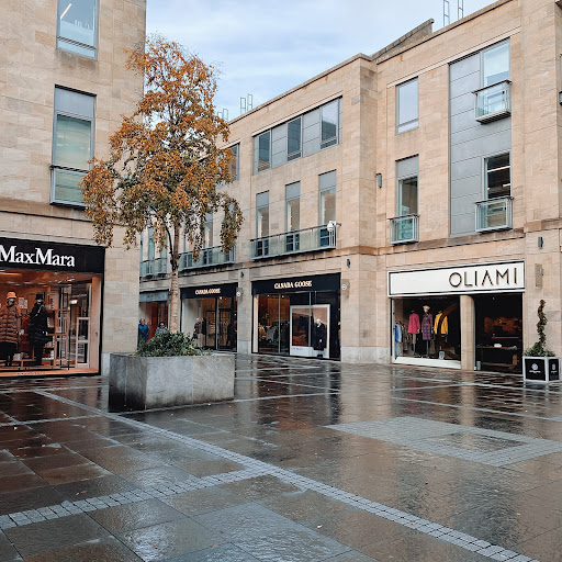 Multrees Walk - Visual