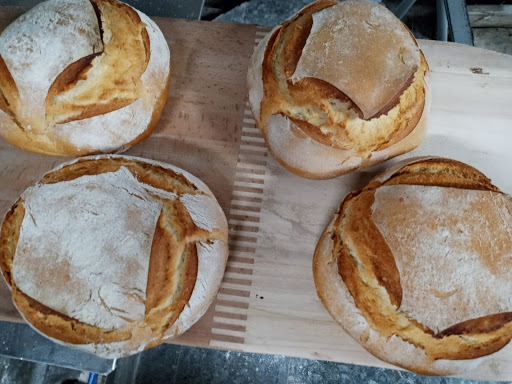 Panaderia Pan de Maria - Thumbnail