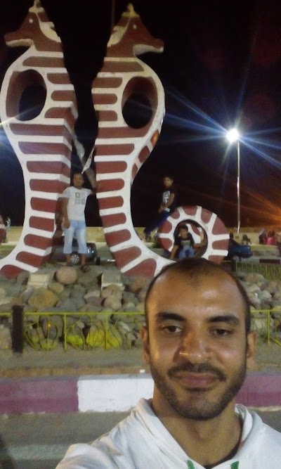 Photos of Umm Al-Qura Tourism
