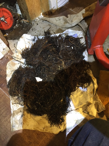 CB Drain Cleaning - Visual