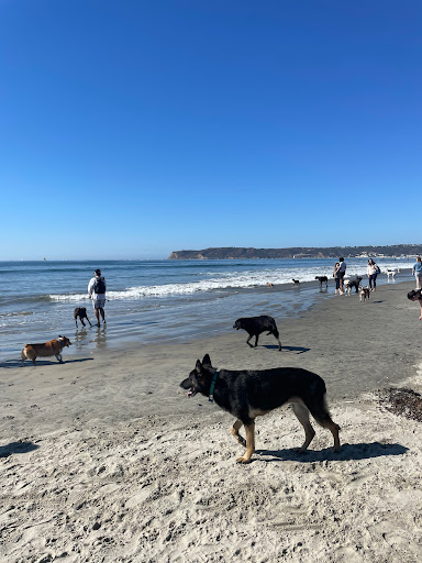 Coronado Dog Beach