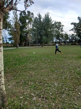 Estadio Municipal, Author: luis gabriel pitra