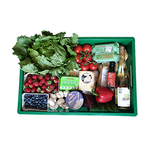 Regio-Delivery - Visual
