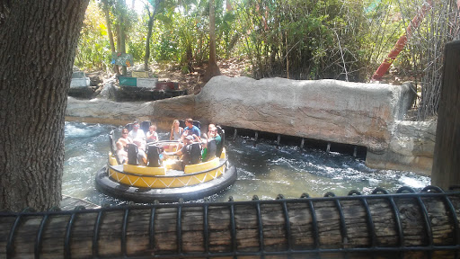 SheiKra - Visual