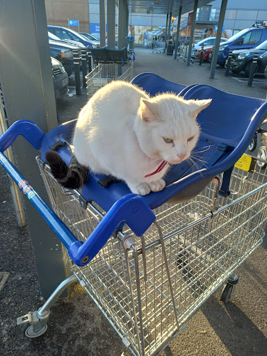 Car Park - Tesco Extra Sunbury - Thumbnail