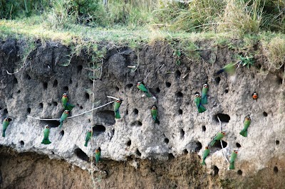 Photos of Impalila Island