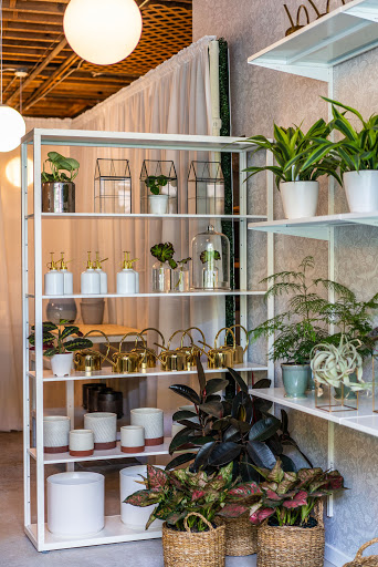 Rooted Living Gallery - United States