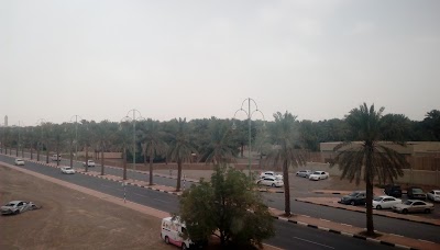 Photos of Al Ain Oasis