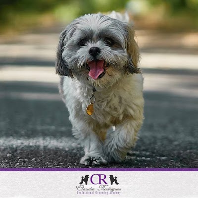 Photos of Cursos de Peluquer&iacute;a Canina | Escuela Claudia Rodriguez