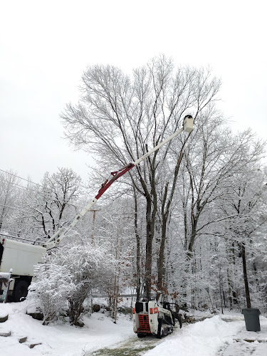 New England Tree Service, Inc.