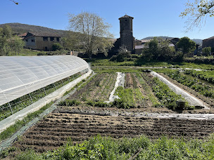 Photo n°24 de Bistrot Galien à Toulouse (Restaurant)