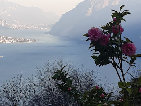 Villa Ponti Bellavista- Best villa in Italy by null