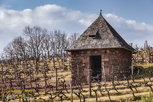 Vignoble de Ceyrat - Thumbnail