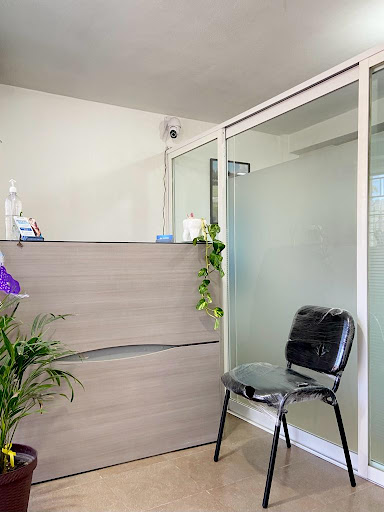 Priodent - Clínica Dental Gallery - Mexico