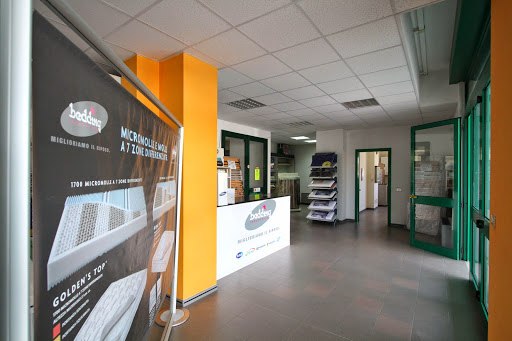 Scic Flex - Italy
