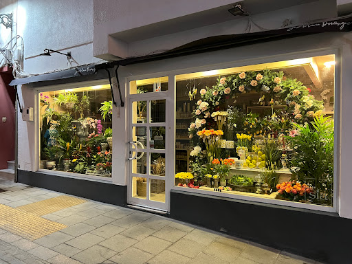 Decorflor - Visual
