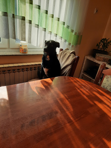 Pet centar - Thumbnail