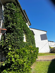 Photo n°8 de Jacques espace vert à Saint-Avold (Paysagiste)