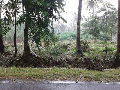 Photos of Lestari farm