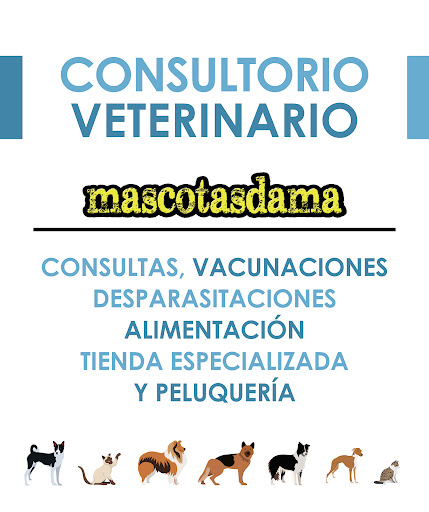 Consulta Vererinaria (MASCOTAS DAMA) Gallery - Spain