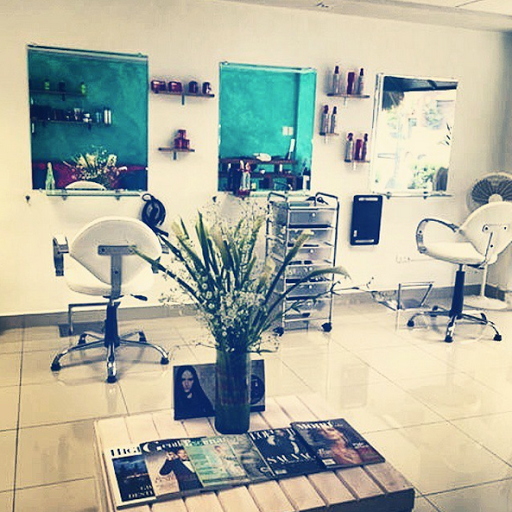 DiGaHa Color e Imagen, Estética
