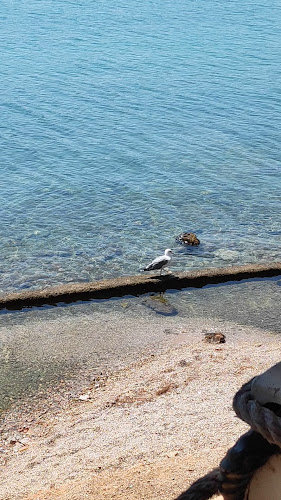 Opinii despre Puzzles Cafe în Σαλαμίνα - Καφετέρια