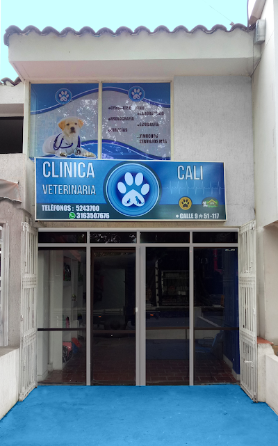 veterinary-care