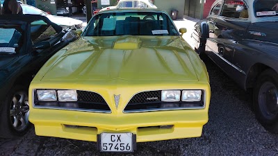 Photos of Sedgefield Classic Cars cc
