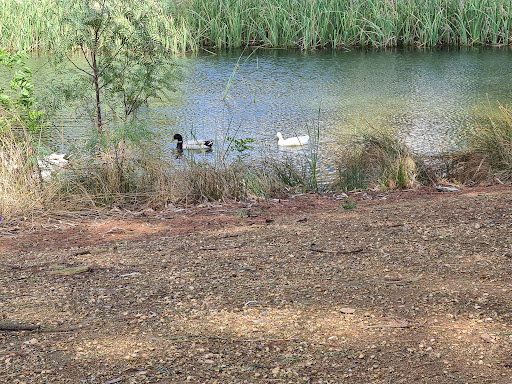 Burra BBQ Area - Thumbnail