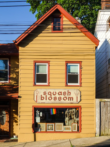 Squash Blossom