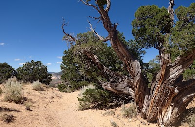 Ghost Ranch