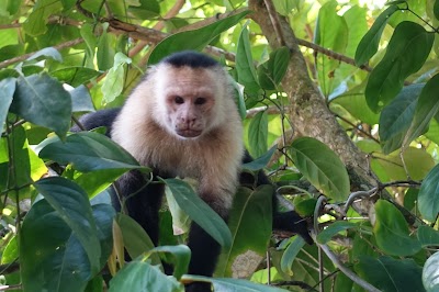 Photos of Rio Claro Aventuras Tour