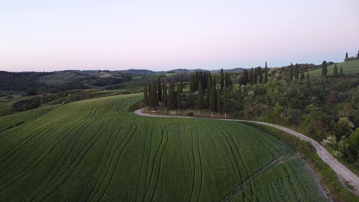 Quercecchio - Visual