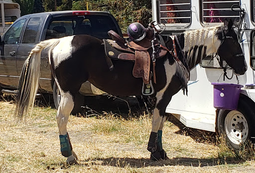 Tri-Cities Equestrian Arena - Thumbnail