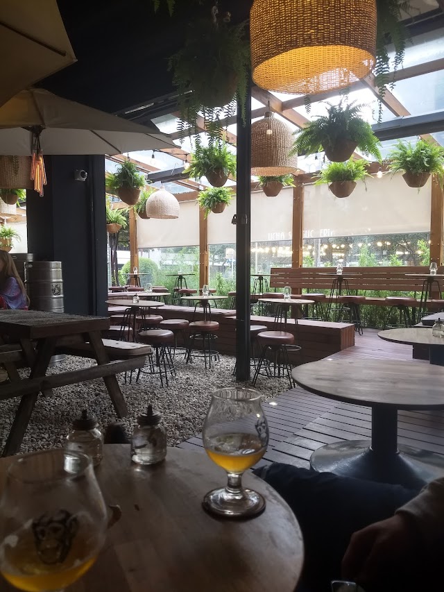 El Mono Bandido Calle 93