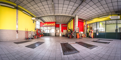 Mucci Service - Visual