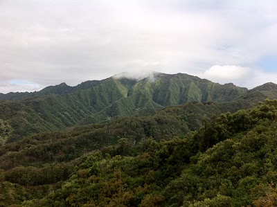 Mokulēʻia Forest Reserve