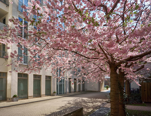 Federico Garraffo Private Physiotherapie Gallery - Germany