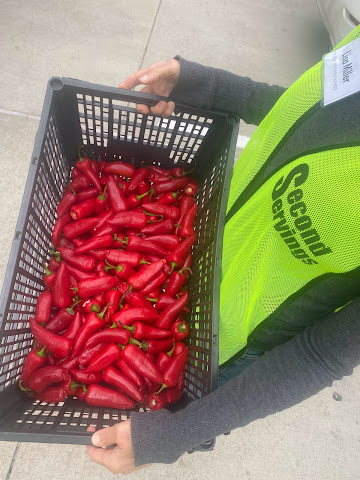 Second Servings of Houston by null