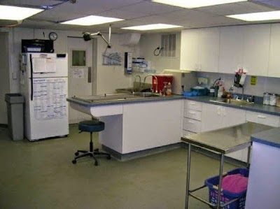 Photos of Rosebank Animal Hospital