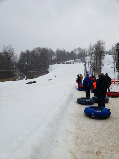 Snow Trails - Visual